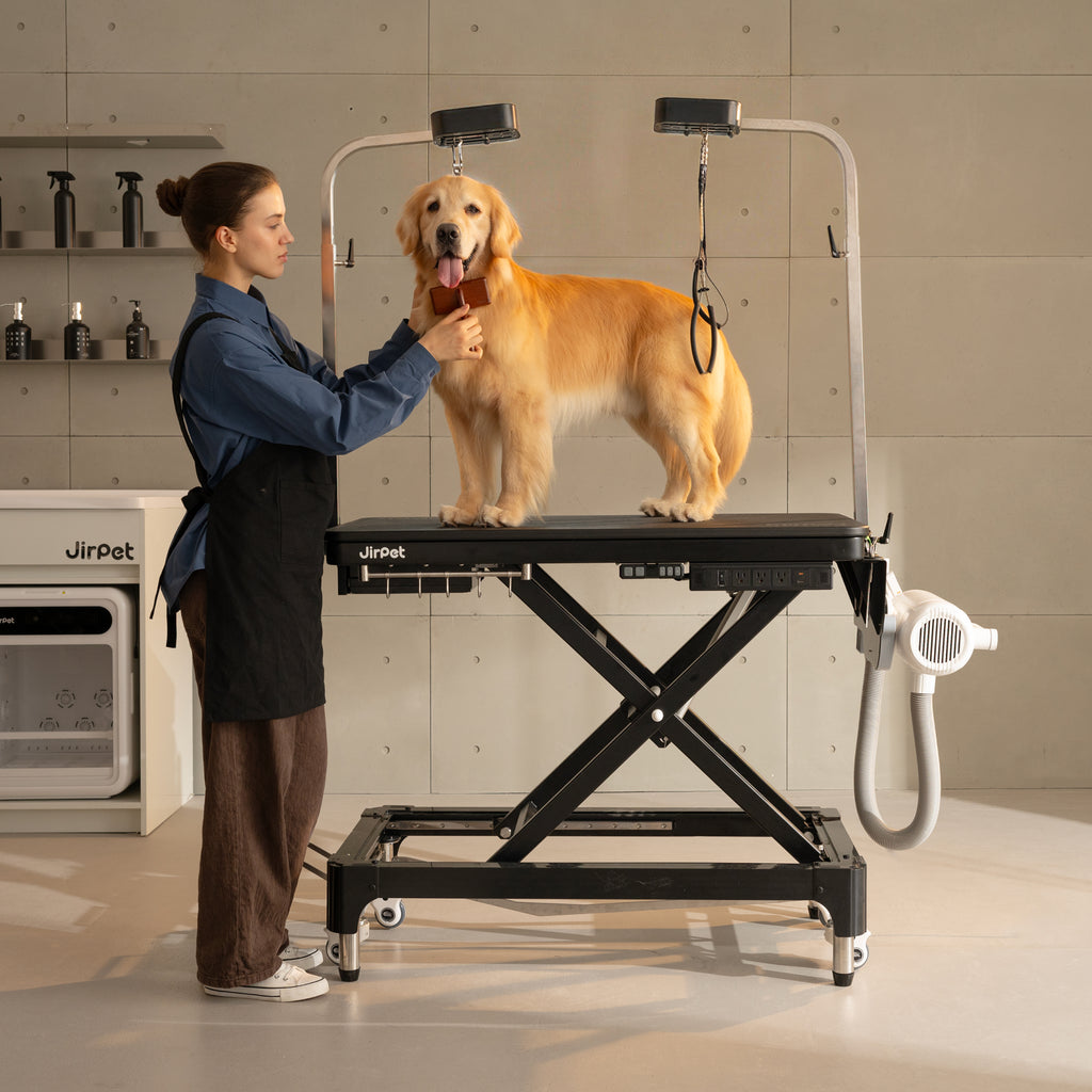 Atlas Pet Grooming Table