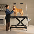 Atlas Pet Grooming Table