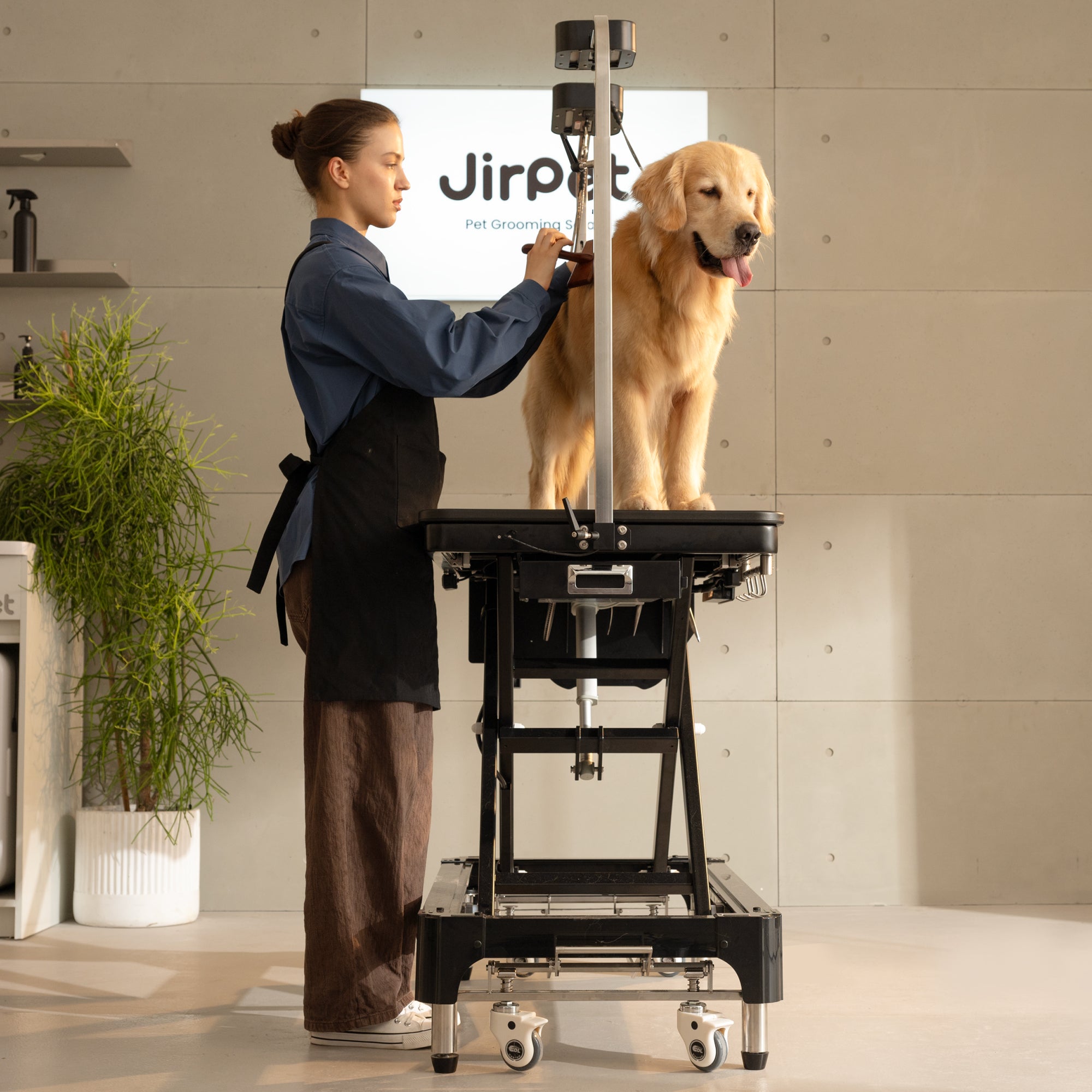 Atlas Pet Grooming Table
