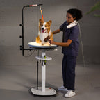 Electric Pet Grooming Table with LED Light & 360° Rotation - Jirpet Radiant360