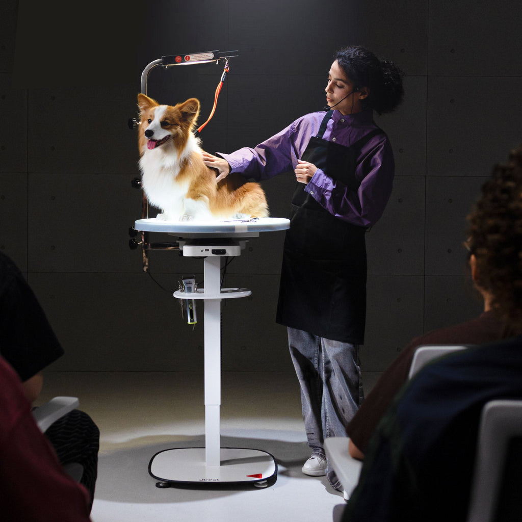 Electric Pet Grooming Table with LED Light & 360° Rotation - Jirpet Radiant360