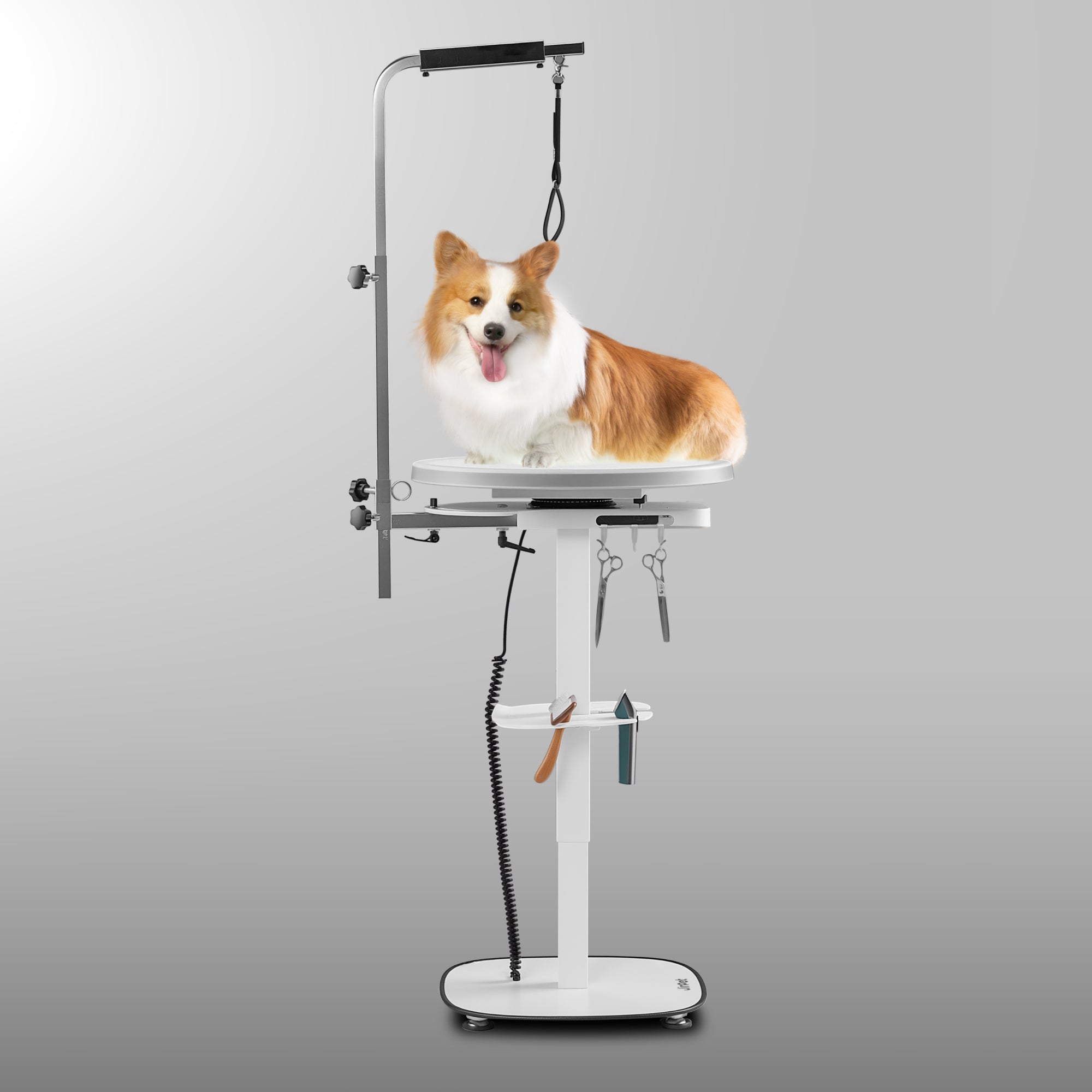 Electric Pet Grooming Table with LED Light & 360° Rotation - Jirpet Radiant360