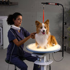 Electric Pet Grooming Table with LED Light & 360° Rotation - Jirpet Radiant360