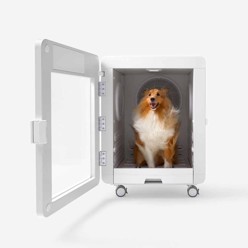C7s Pet Dryer Cabin