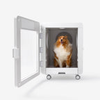 C7s Pet Dryer Cabin