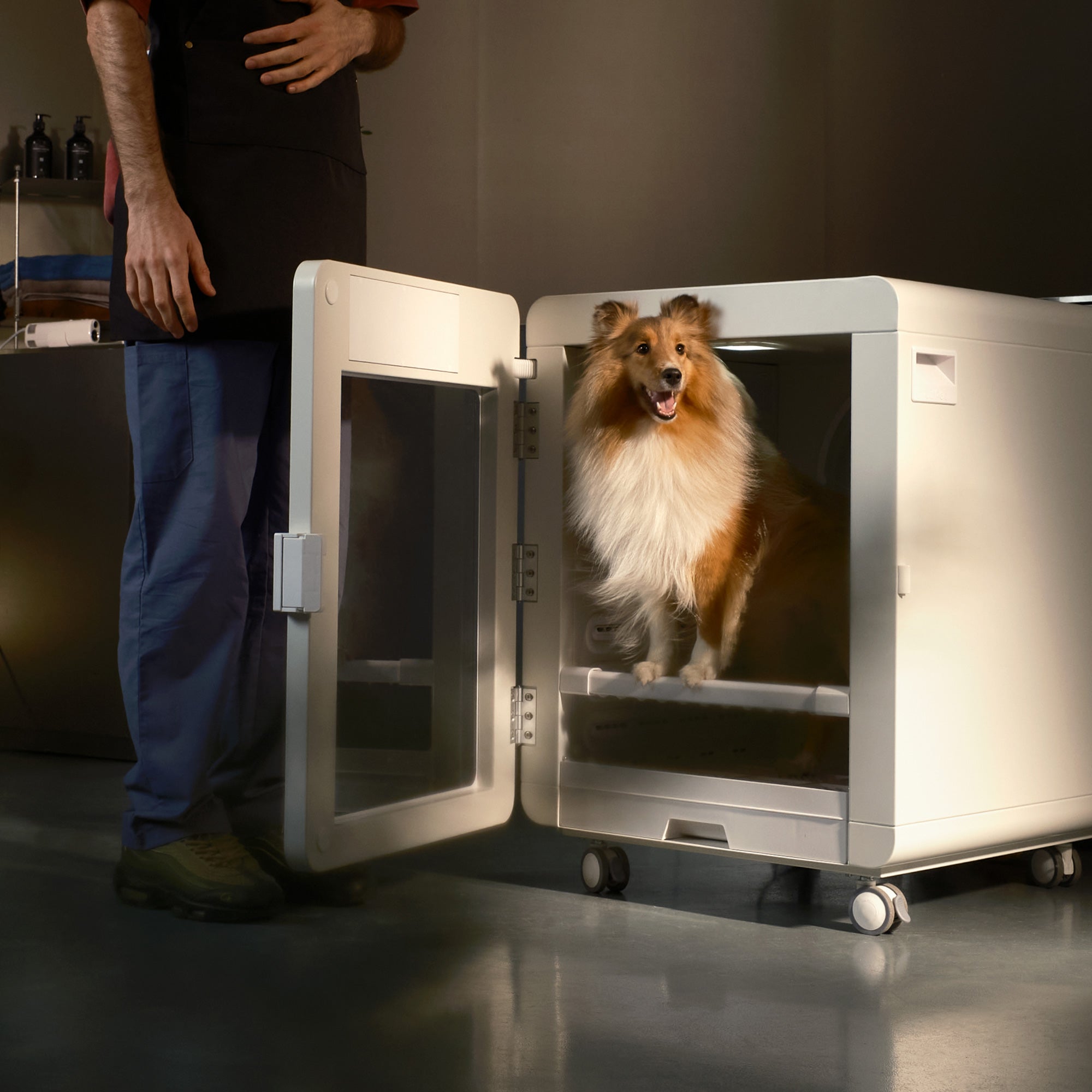 C7s Pet Dryer Cabin