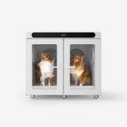 CPlus Pet Dryer Cabin