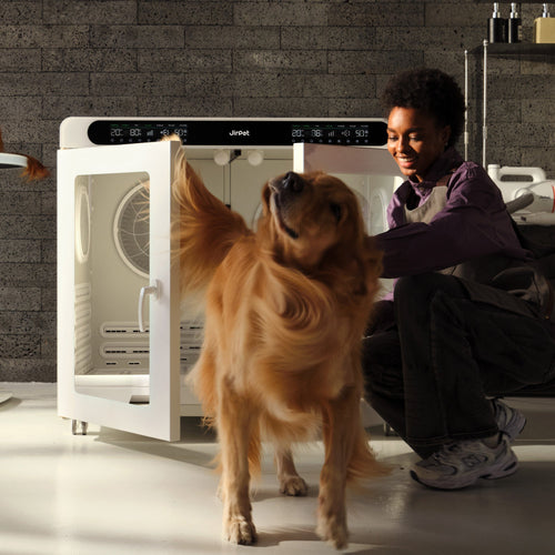 Largest dog drying box, safe pet dryer box for professional pet grooming salons.