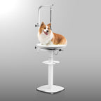 Revolve 360 Hydraulic Lifting Grooming Table