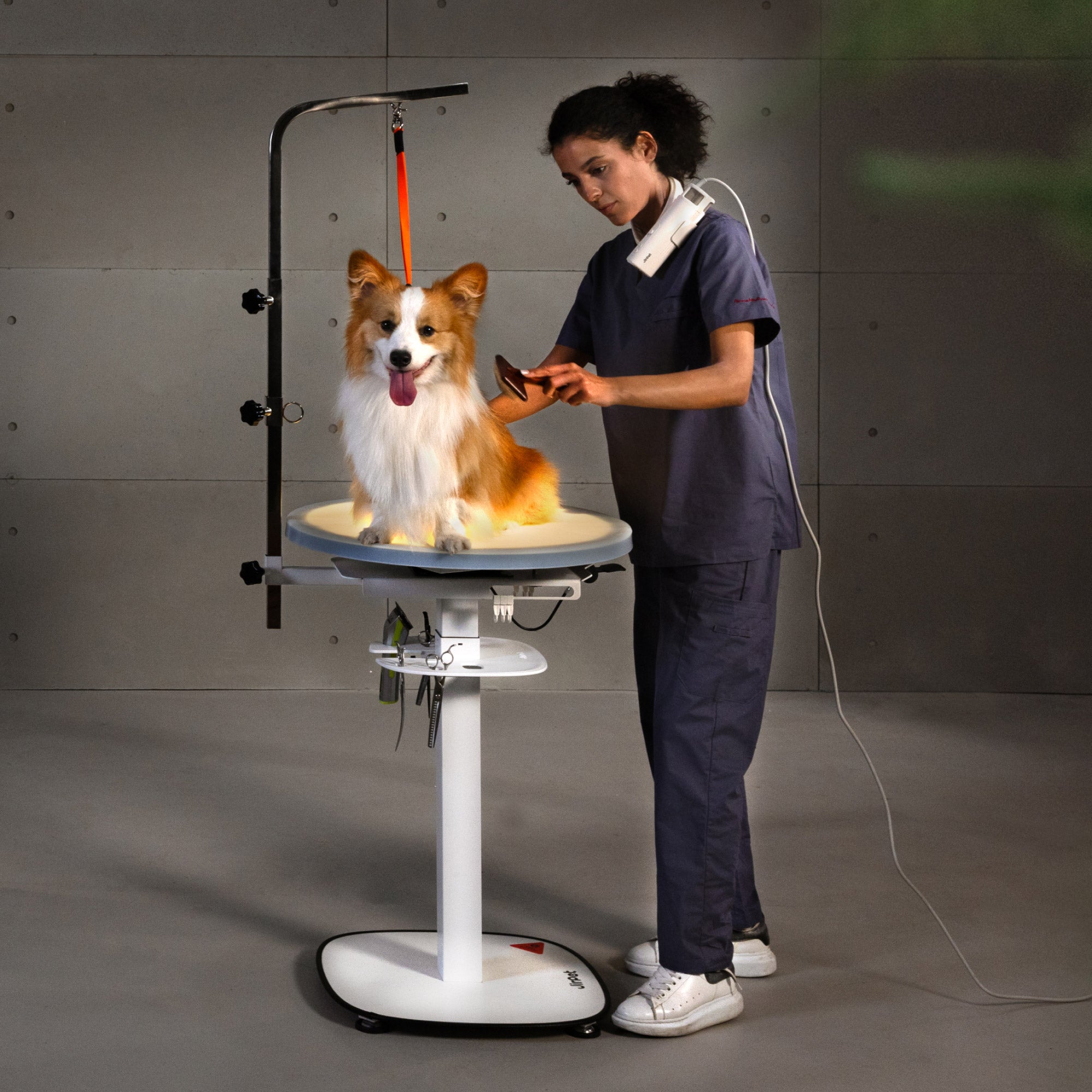 Revolve 360 Hydraulic Lifting Grooming Table
