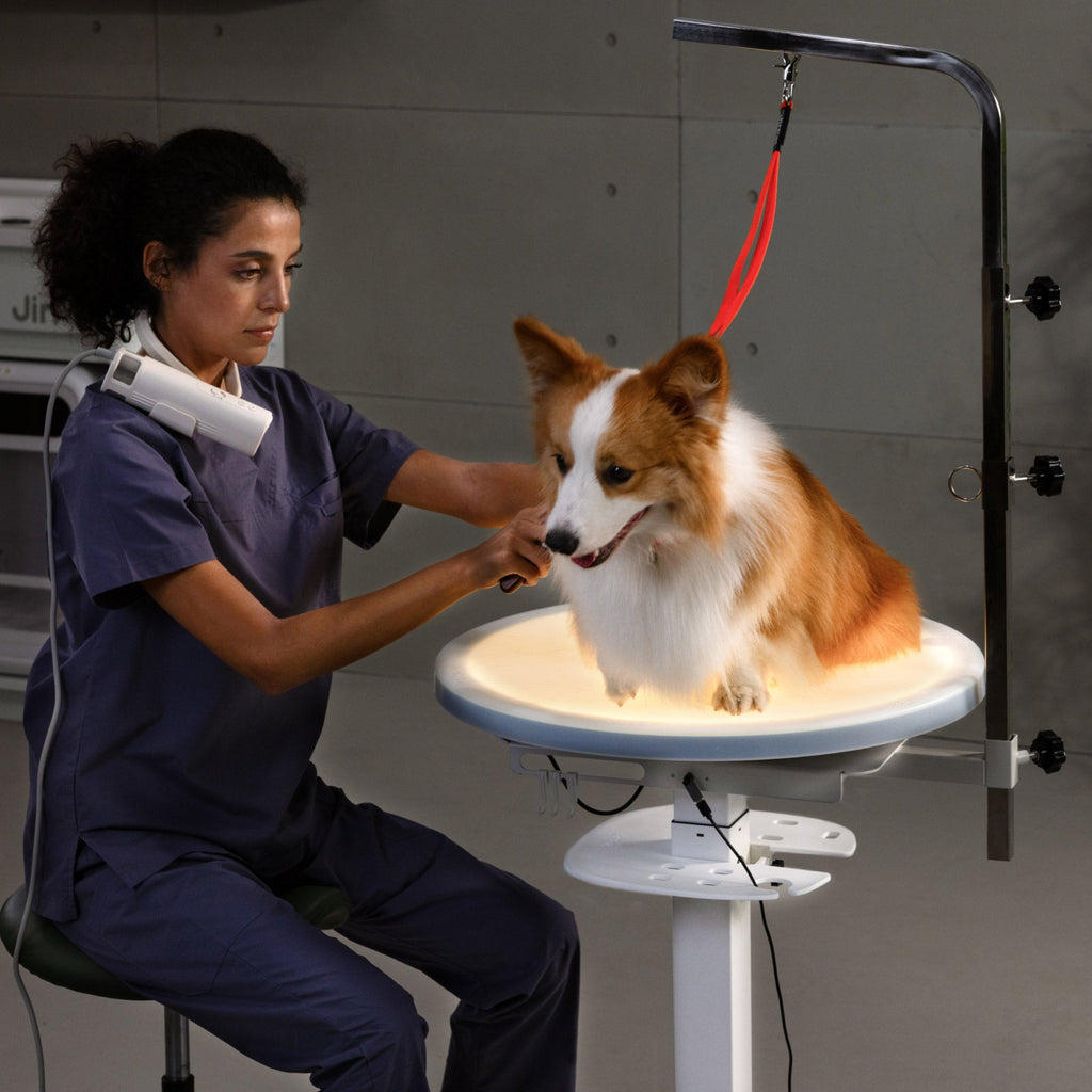 Revolve 360 Hydraulic Lifting Grooming Table