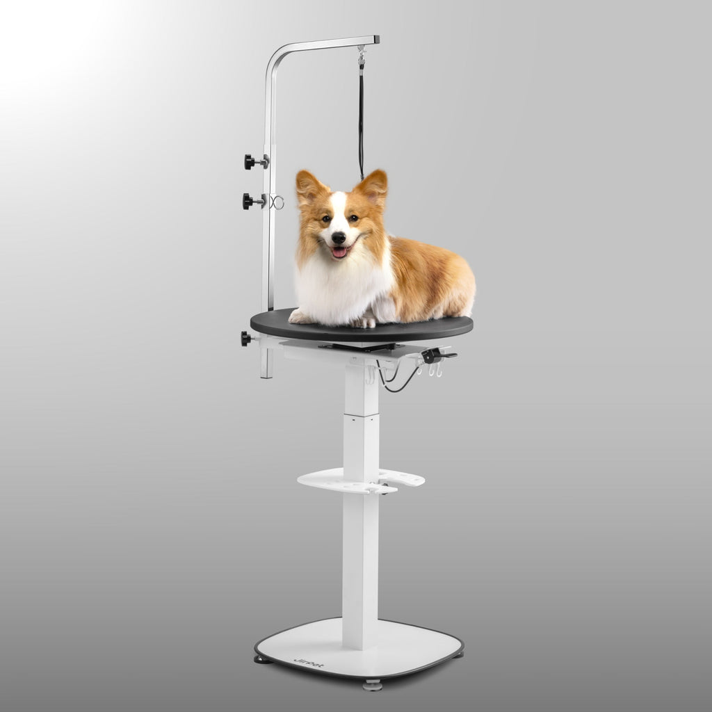 Rotique 360 Hydraulic Lifting Grooming Table