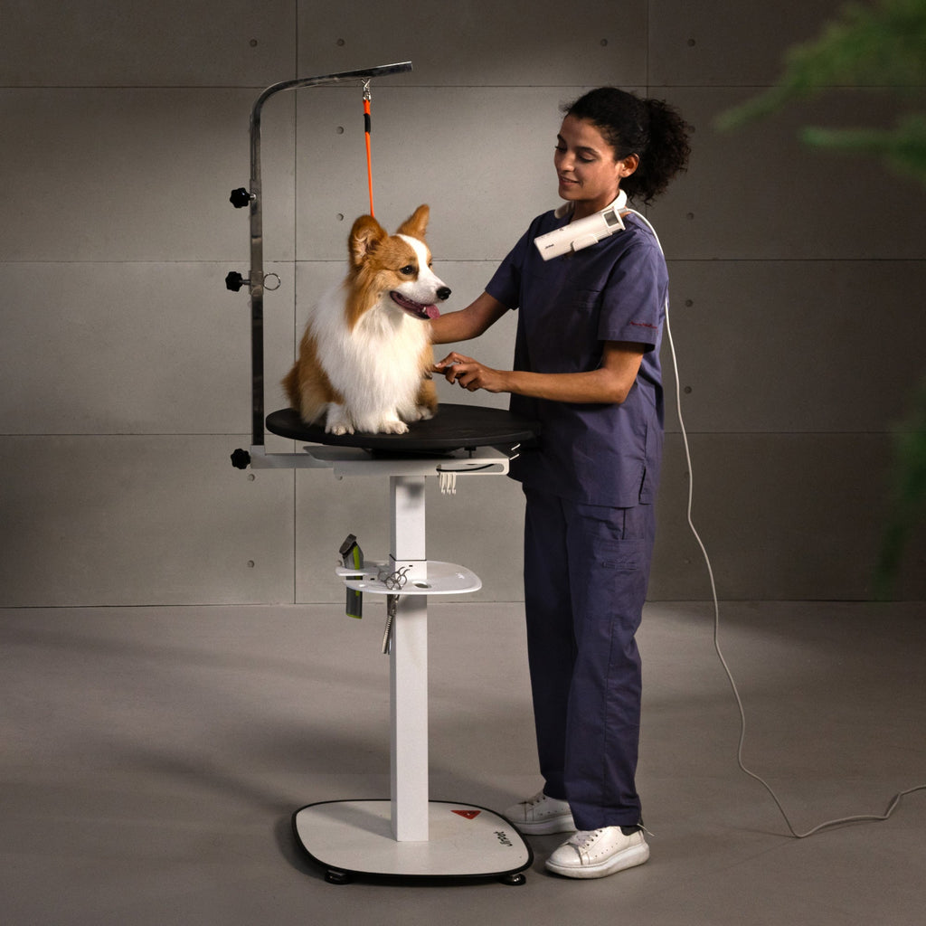 Rotique 360 Hydraulic Lifting Grooming Table